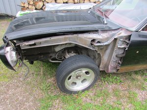 IMG_3338 (800x600).jpg