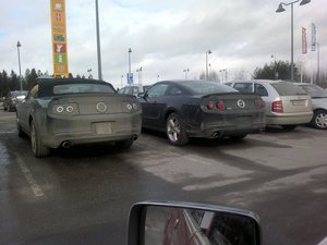 musse2011.jpg