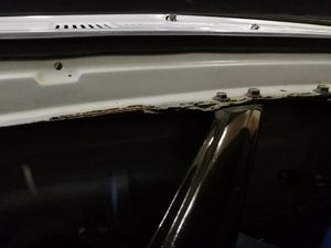 IMG_20171023_104349.jpg