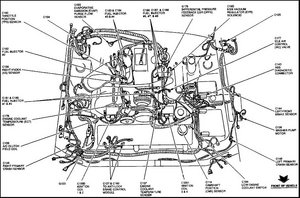 p1443-3.jpg