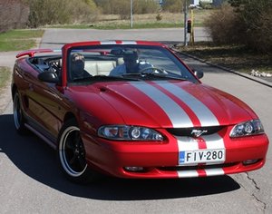 IMG_3689-cropg.JPG