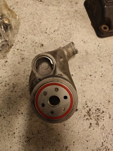 IMG20250911195151.jpg