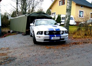 Ponin ulkoilutus.jpg