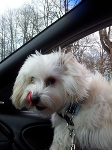 20120430_160149.jpg