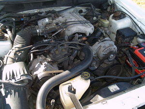 mustang 058.jpg
