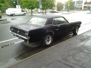 2013-06-25 06.09.51.jpg