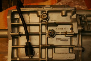 NK4I0864.JPG