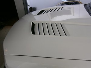 P4060236.JPG
