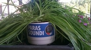 Tahko kesä 2014.jpg (856.19 KiB) Katsottu 6668 kertaa Tahko kesä 2014