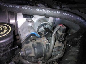 WP_000161.jpg